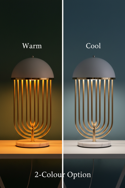 Nordic Cage Table Lamp | Dome Shade | Warm & Cool LED | Bedside & Living Room Light
